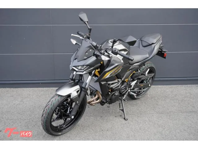 Kawasaki Z500 ABS 2026 — миниатюра 5