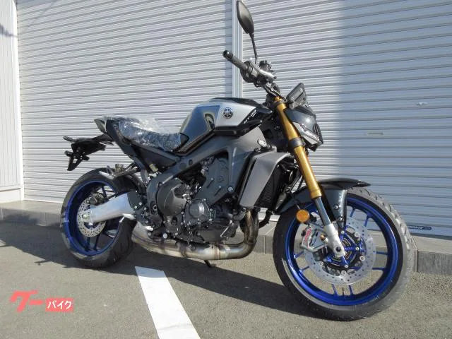 Yamaha MT-09 SP 2024 — фото 1, купить с доставкой в Москву