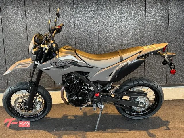 Kawasaki KLX230SM 2025 — миниатюра 2