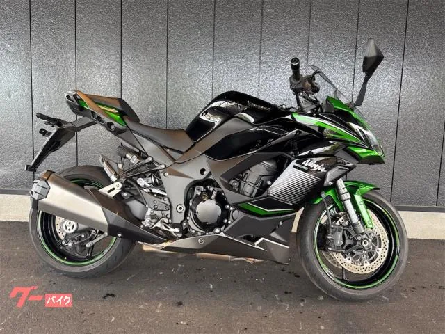 Kawasaki Ninja 1000 SX ETC 2023 — миниатюра 3