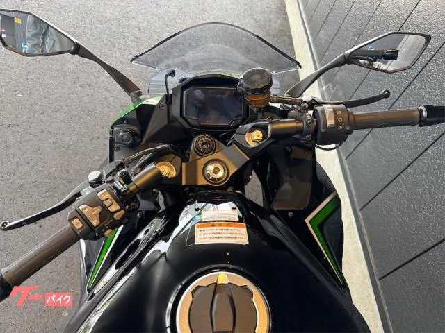 Kawasaki Ninja 1000 SX ETC 2023 — миниатюра 4
