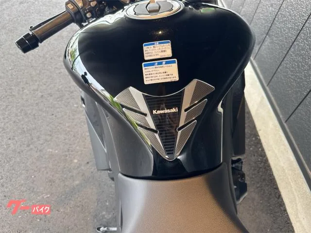 Kawasaki Ninja 1000 SX ETC 2023 — миниатюра 5