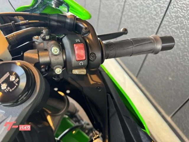 Kawasaki Ninja ZX-6R 2025 — миниатюра 3