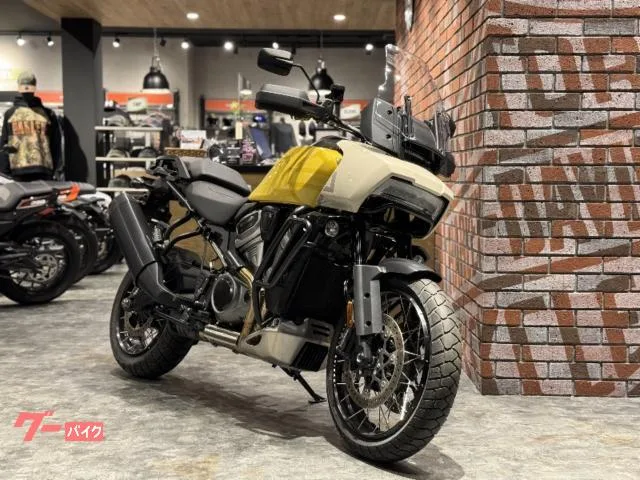 HARLEY-DAVIDSON 1250 RA1250S LED 2023 — фото 1, купить с доставкой в Москву