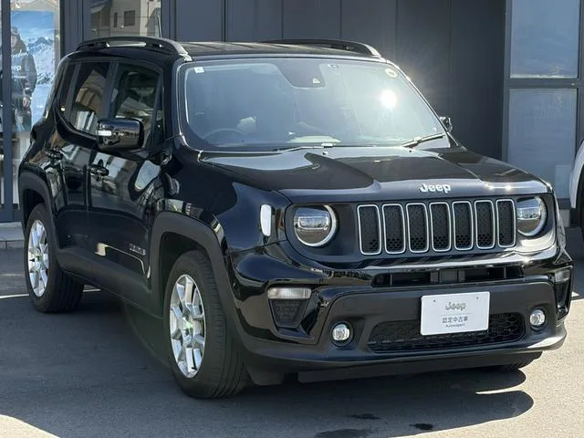 Chrysler Jeep JEEP RENEGADE LIMITED 2024 — миниатюра 2
