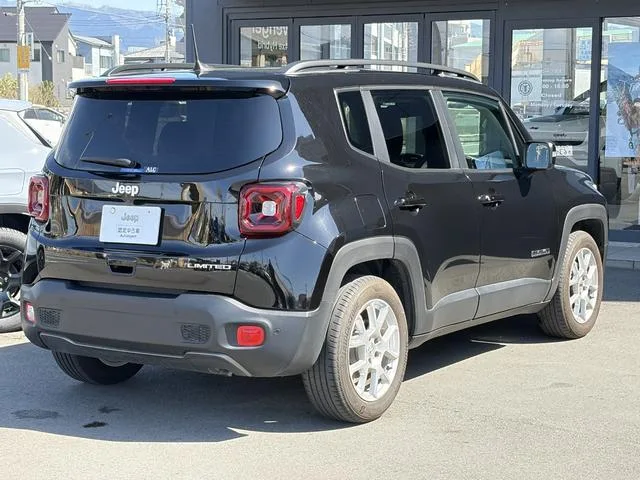 Chrysler Jeep JEEP RENEGADE LIMITED 2024 — миниатюра 3