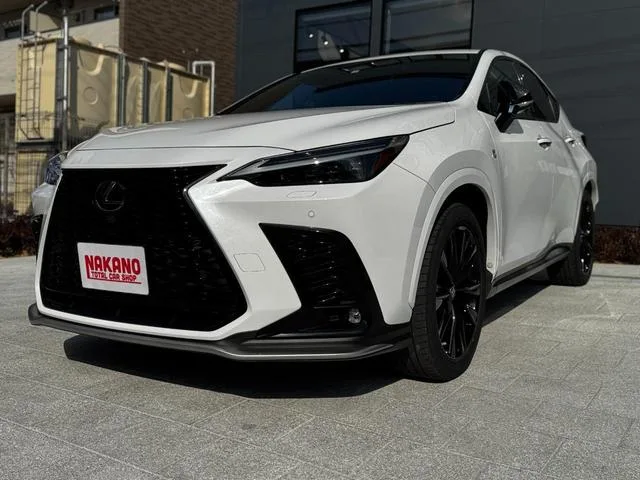 Lexus NX NX350H F SPORT 2022 — миниатюра 5