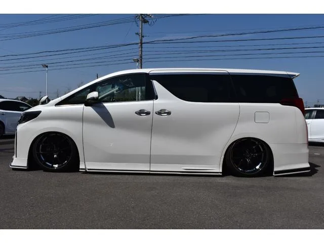 Toyota ALPHARD 2.5S TYPE GOLD II 2022 — миниатюра 3