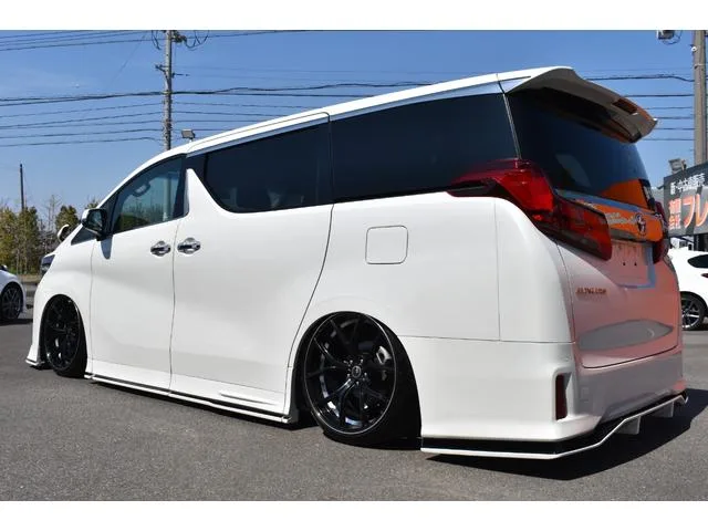 Toyota ALPHARD 2.5S TYPE GOLD II 2022 — миниатюра 4