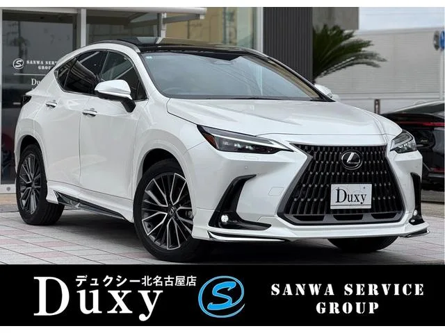 Lexus NX NX350H VERSION L 2023 — фото 1, купить с доставкой в Москву