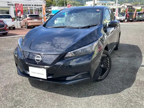 Nissan Leaf 2024 купить в Москве