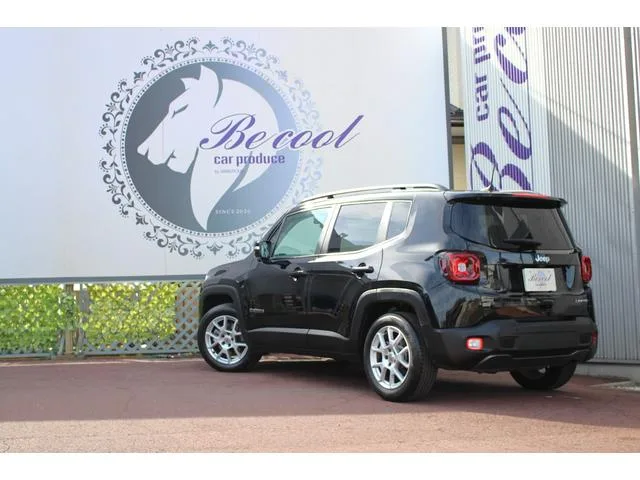 Chrysler Jeep JEEP RENEGADE LIMITED 2024 — миниатюра 3