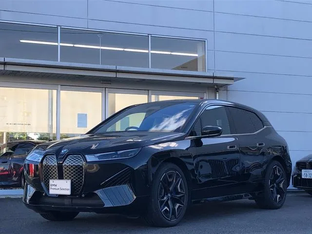 BMW iX X DRIVE 40 2024 — фото 1, купить с доставкой в Москву