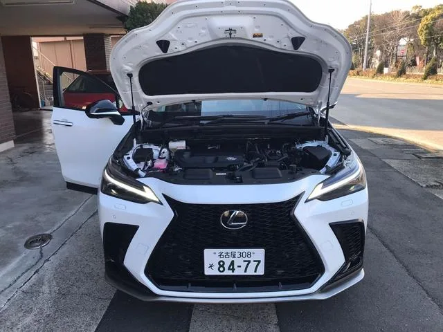 Lexus NX NX350H F SPORT 2025 — миниатюра 5