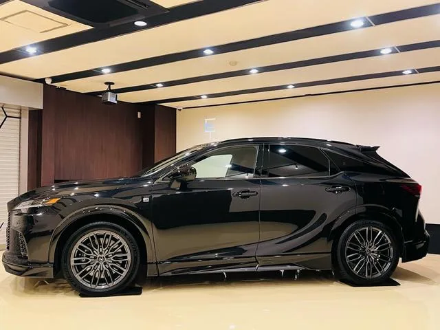 Lexus RX RX500H F SPORT PERFORMANCE 2023 — миниатюра 2