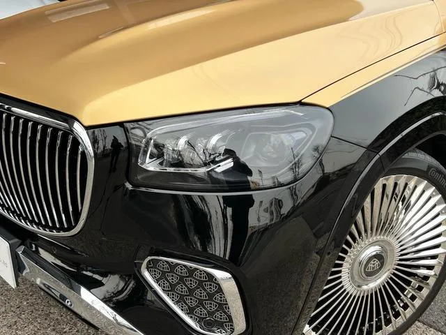 Mercedes Maybach GLS GLS600 4MATIC 2022 — миниатюра 3