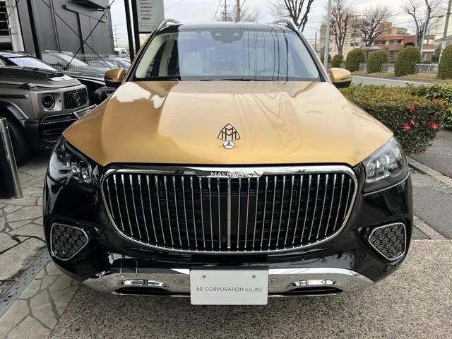 Mercedes Maybach GLS GLS600 4MATIC 2022 — миниатюра 4