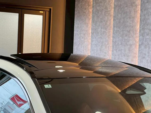 Lexus NX NX350H F SPORT 2025 — миниатюра 4