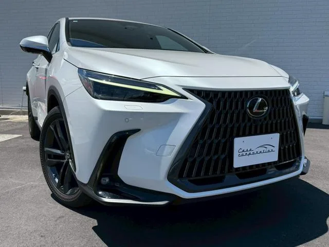 Lexus NX NX250 VERSION L 2023 — миниатюра 3