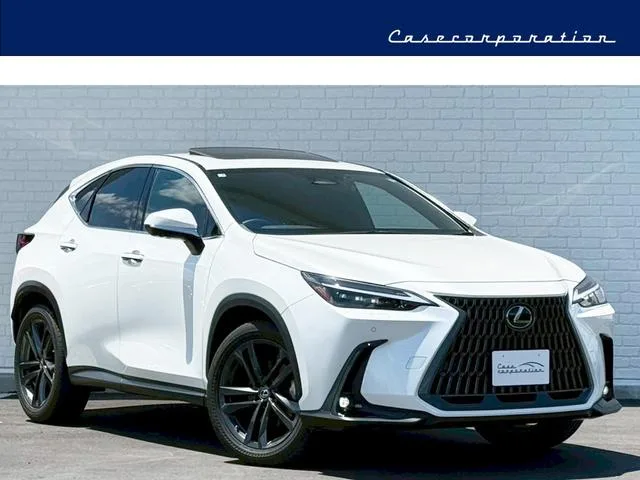 Lexus NX NX250 VERSION L 2023 — фото 1, купить с доставкой в Москву