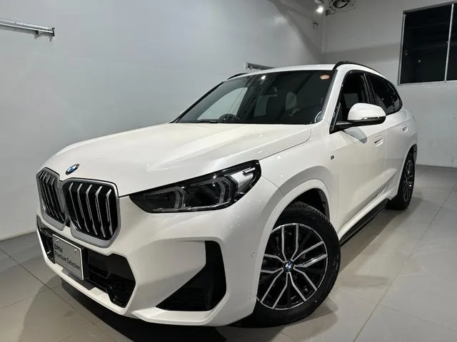 BMW X1 X DRIVE 20D M SPORT 2025 — фото 1, купить с доставкой в Москву