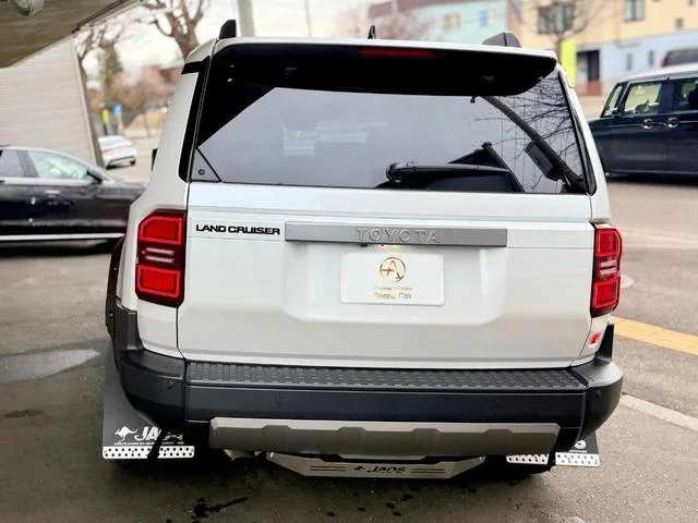 Toyota LAND CRUISER 250 VX 2024 — миниатюра 5