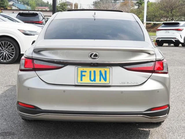 Lexus ES ES300H F SPORT 2022 — миниатюра 5