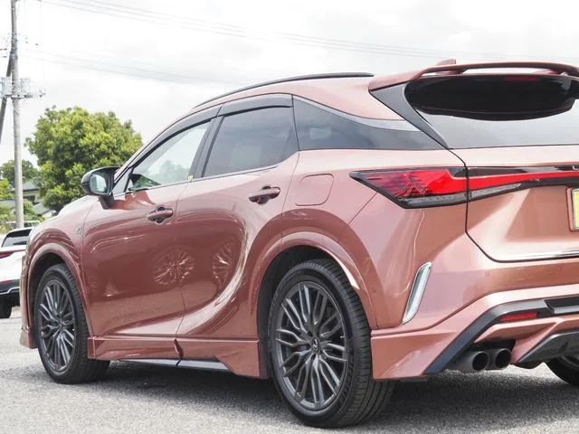 Lexus RX RX500H F SPORT PERFORMANCE 2023 — миниатюра 5