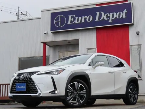 Lexus UX 2024 buy in Moscow