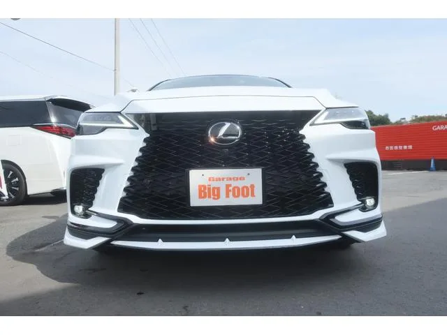 Lexus RX RX500H F SPORT PERFORMANCE 2023 — миниатюра 2