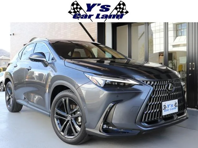 Lexus NX NX350H VERSION L 2023 — фото 1, купить с доставкой в Москву
