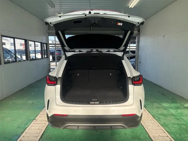 Lexus NX NX350H F SPORT 2023 — миниатюра 3