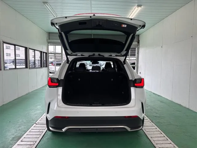 Lexus NX NX350H F SPORT 2024 — миниатюра 3