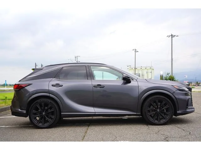 Lexus RX RX500H F SPORT PERFORMANCE 2023 — миниатюра 2