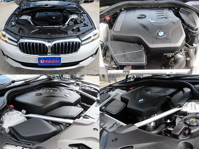 BMW 5 Series 523i LUXURY 2022 — миниатюра 5