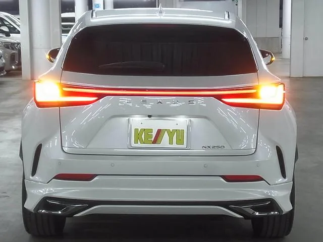Lexus NX NX250 2022 — миниатюра 2