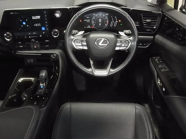 Lexus NX NX250 2022 — миниатюра 3