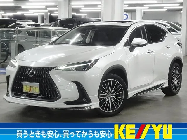 Lexus NX NX250 2022 — фото 1, купить с доставкой в Москву
