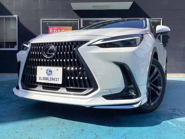 Lexus NX NX350H VERSION L 2023 — фото 1, купить с доставкой в Москву