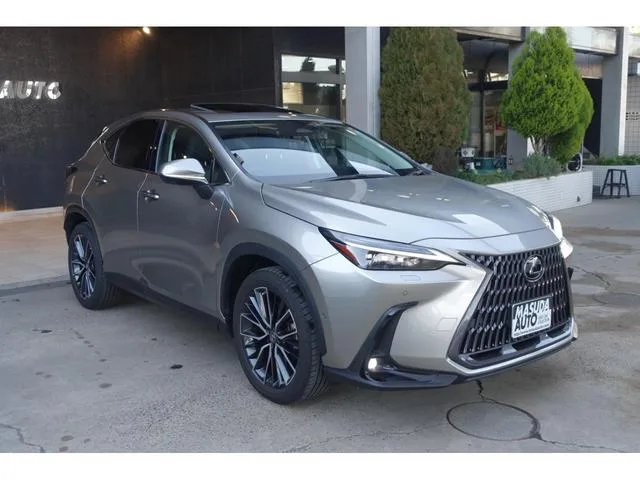 Lexus NX NX350H VERSION L 2023 — миниатюра 2