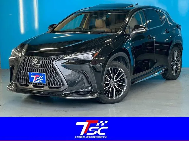 Lexus NX NX350H VERSION L 2023 — фото 1, купить с доставкой в Москву