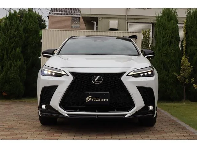 Lexus NX NX350H F SPORT 2023 — миниатюра 3