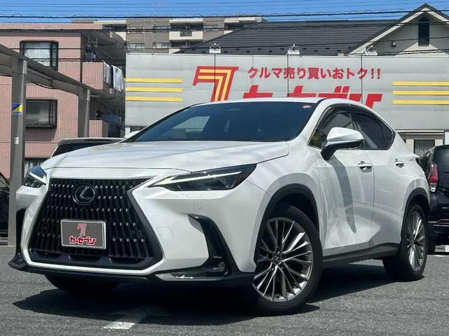 Lexus NX NX250 VERSION L 2023 — фото 1, купить с доставкой в Москву