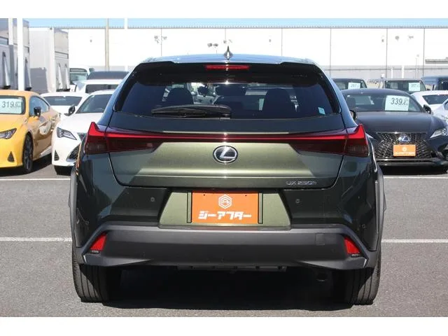 Lexus UX UX250H VERSION C 2023 — миниатюра 4