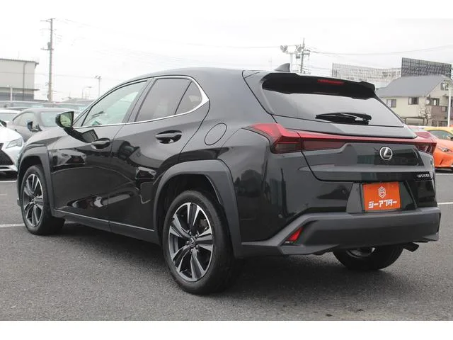 Lexus UX UX250H VERSION L 2023 — миниатюра 4