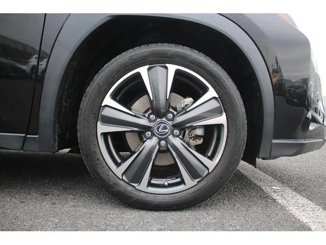 Lexus UX UX250H VERSION L 2023 — миниатюра 5