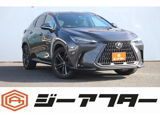 Lexus NX NX350H VERSION L 2023 — фото 1, купить с доставкой в Москву