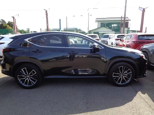 Lexus NX NX250 VERSION L 2023 — миниатюра 2