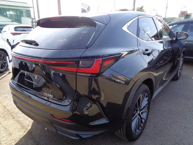 Lexus NX NX250 VERSION L 2023 — миниатюра 3