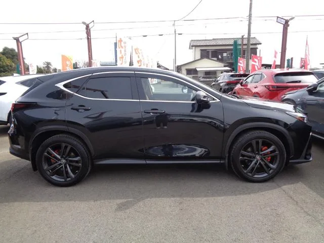 Lexus NX NX250 VERSION L 2022 — миниатюра 2
